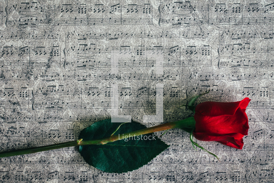 long stem red rose on sheet music 