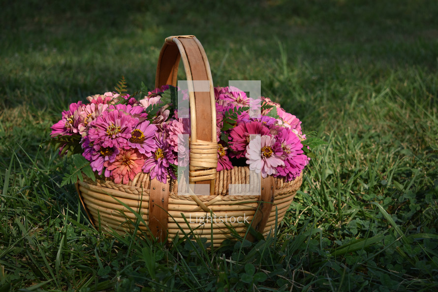 a basket of pink flowers 