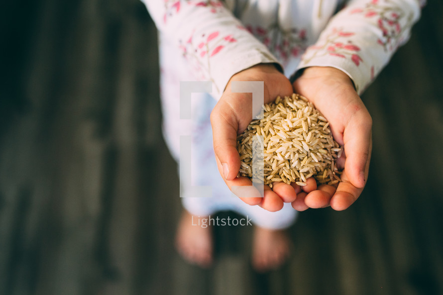 cupped hands holding grains of rice 