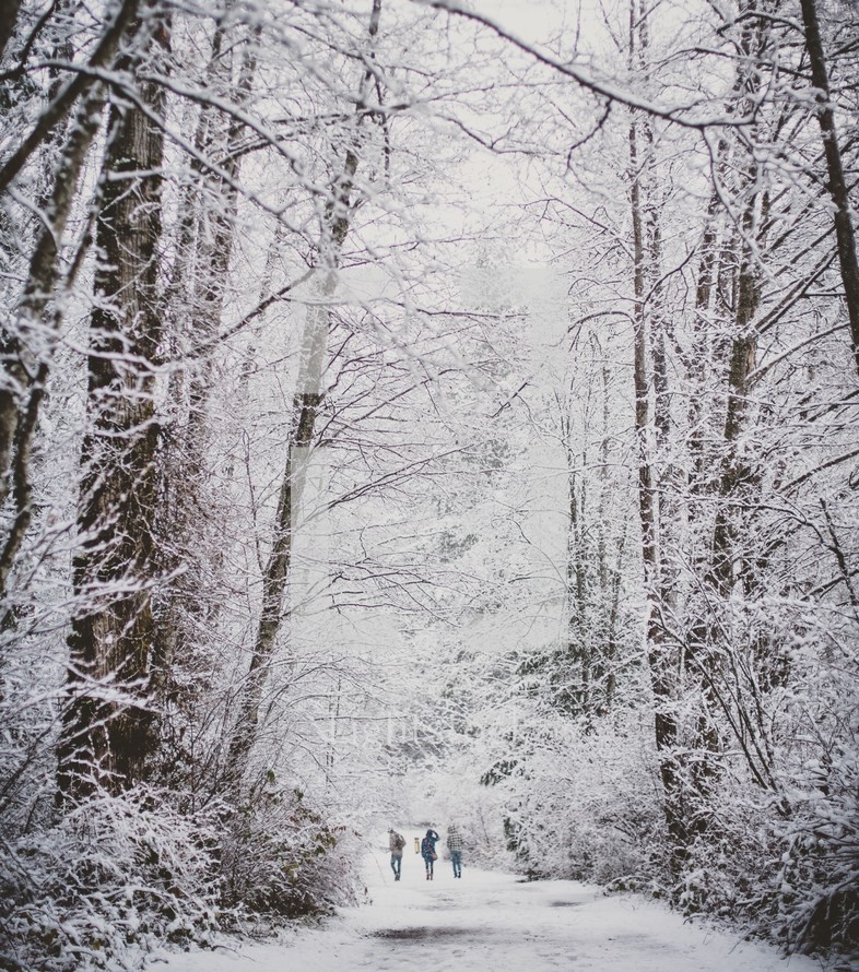 people walking on a snow covered road 