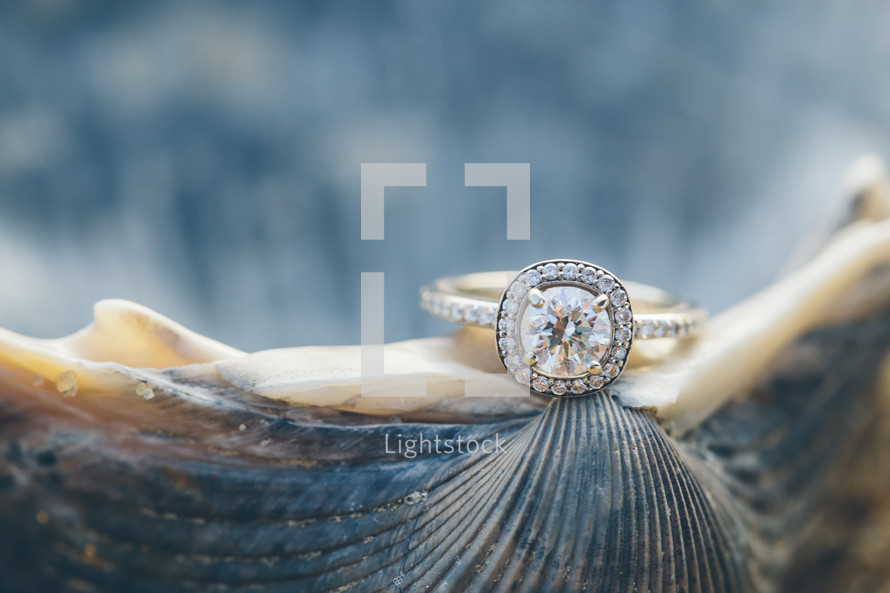 engagement ring on a seashell 