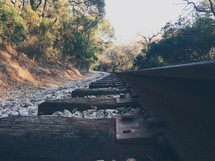railroad tracks in a forest 