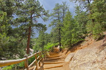 Walkway on a rocky hillside lined with trees and shrubs.