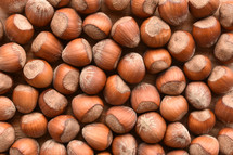 nuts background 