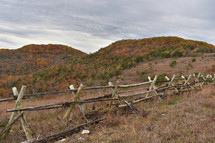 fence line and fall forest 