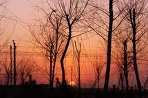 a red and golden sky at sunset behind silhouettes of trees and power lines 