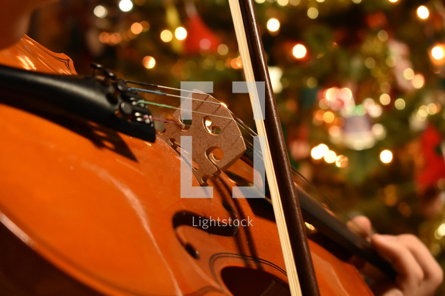 playing a violin in front of a Christmas tree