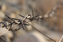 Strands of rusted barbed wire around a deserted prison complex