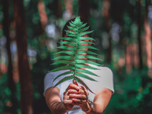 a person holding a fern in a forest 