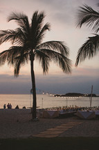 wedding reception on a beach under palm trees 