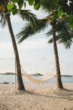 a hammock on a beach between palm trees 