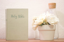 Holy Bible, potted plant, and glass bottles on wood 