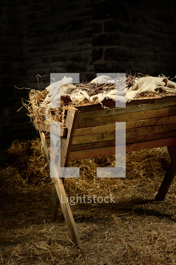 crown of thorns in a manger 