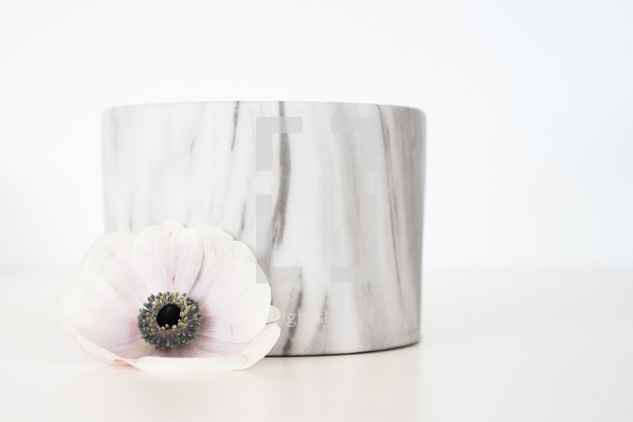 white flower and marble bowl 