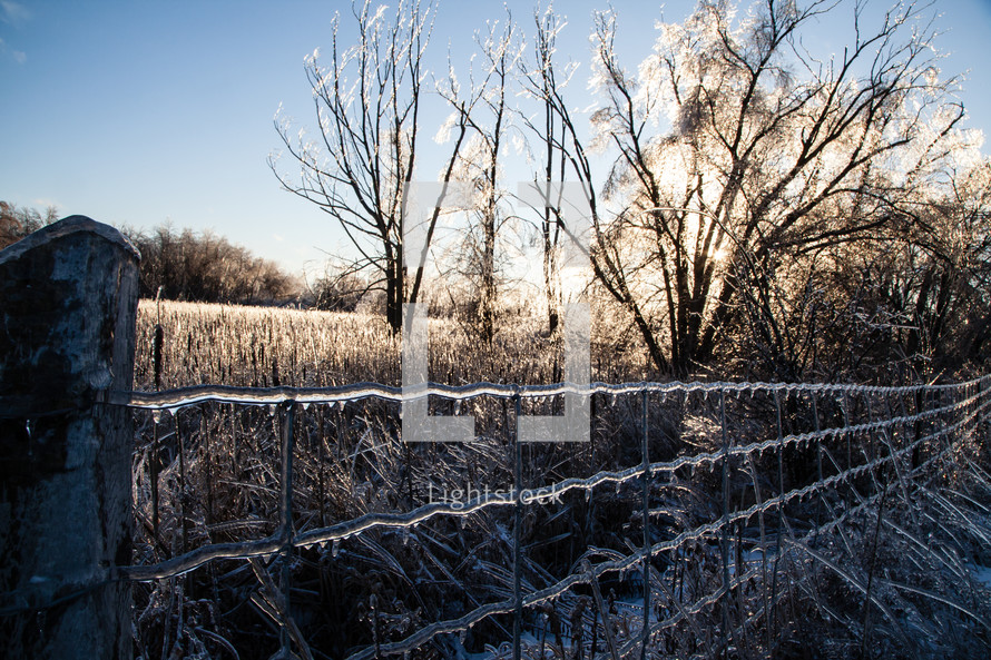 Ice-covered Fence that is sunlit in a Winter Scene