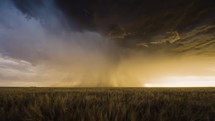 A Field of Beautiful Wheat Gently Sways as Stunning Lightning Fills the Sky.