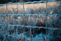 Ice-covered Fence in Winter Scene