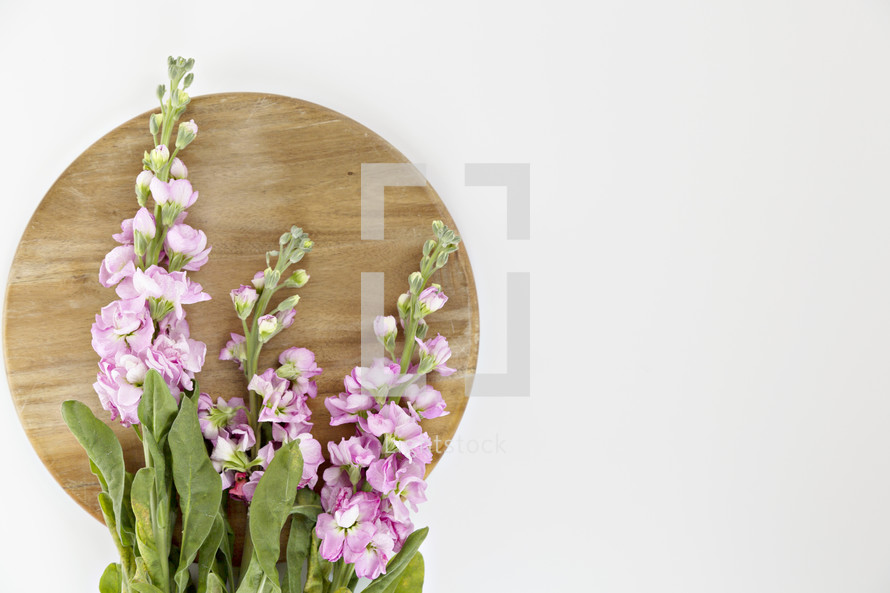 pink flowers on a circular wood board 