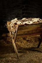 crown of thorns in a manger 