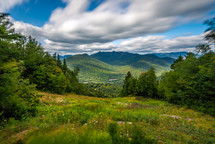 A long exposure image of lush greenery in the White Mountains of New Hampshire