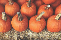 Fall Harvest Background with Stack of Pumpkins Over Hay