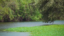 Turtle Creek in Highland Park Dallas