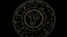 CAPRICORN Sign in the Zodiac Wheel With Star Constellations