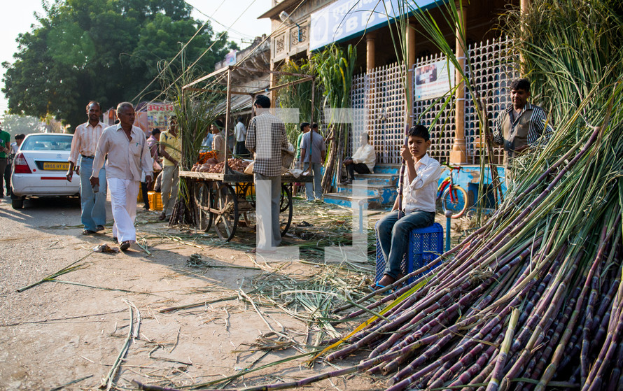 man selling produce at a market in Mandawa, India 