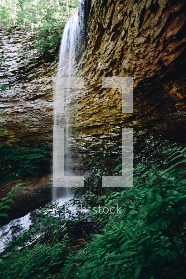 waterfall in a forest 