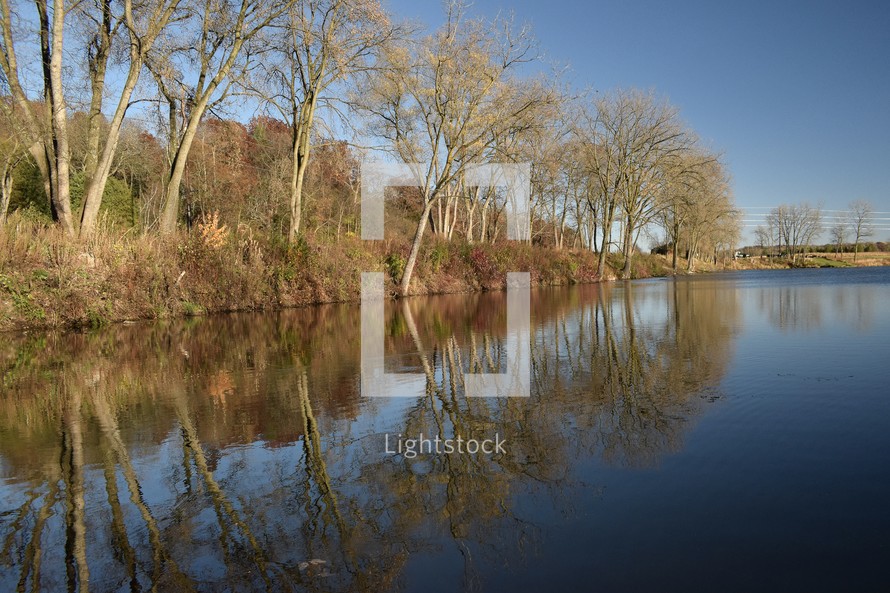 Bare trees reflected in pond water