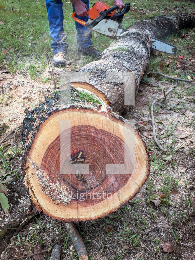 a man sawing firewood with a chain saw 