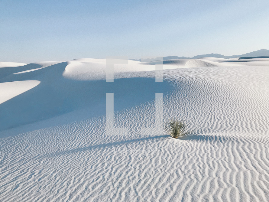 white desert sands 