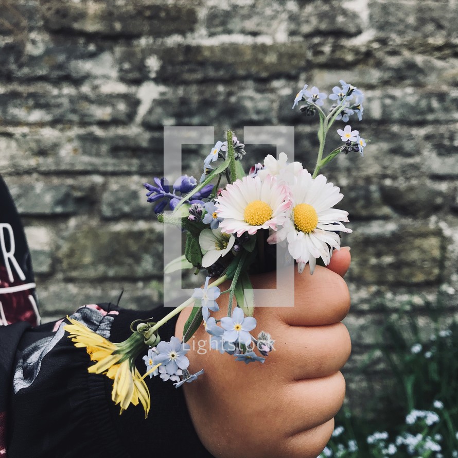 hand holding picked flowers 