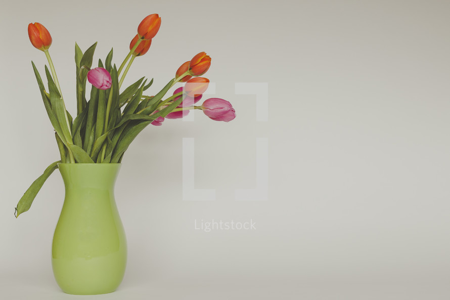 spring tulips in a vase 