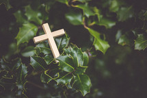 cross in a holy bush 