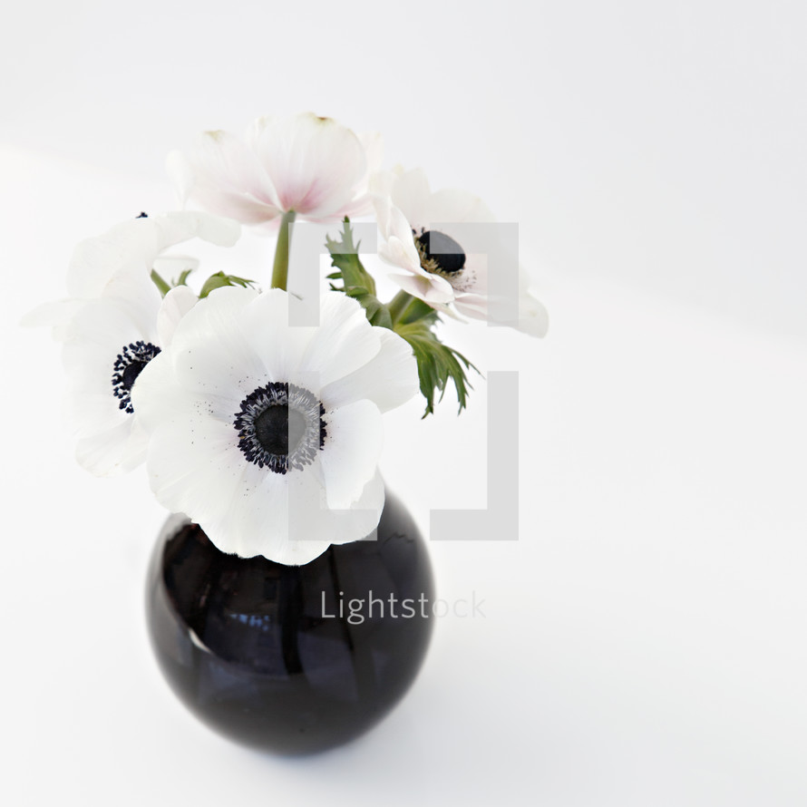 flowers in a black vase 