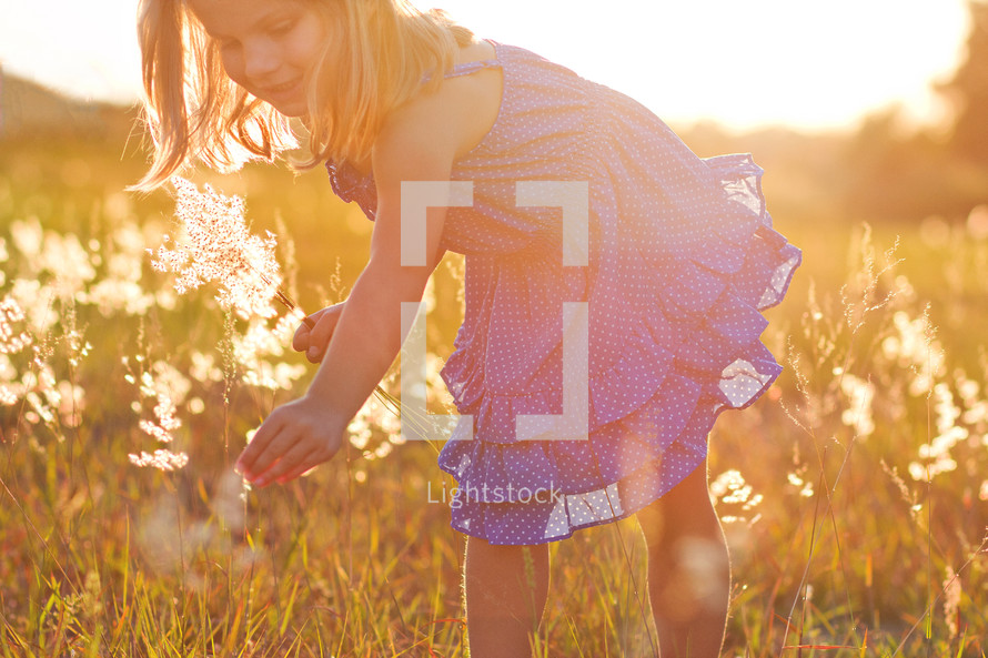 a little girl picking flowers at sunset 