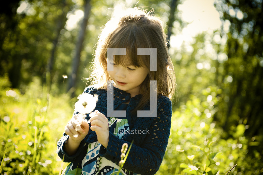girl child holding a dandelion daydreaming 