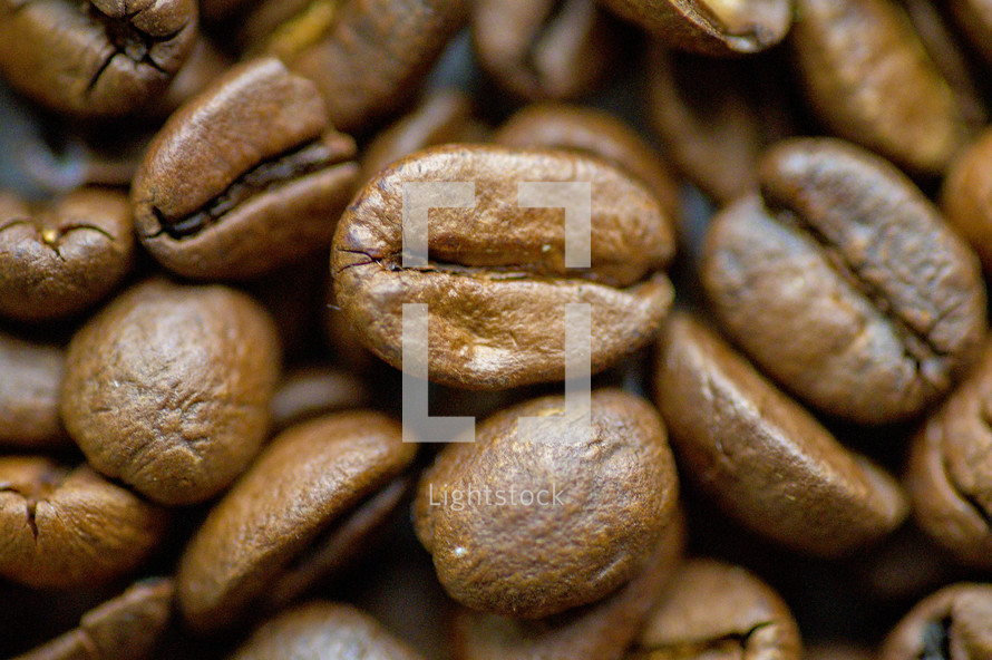 closeup of coffee beans 