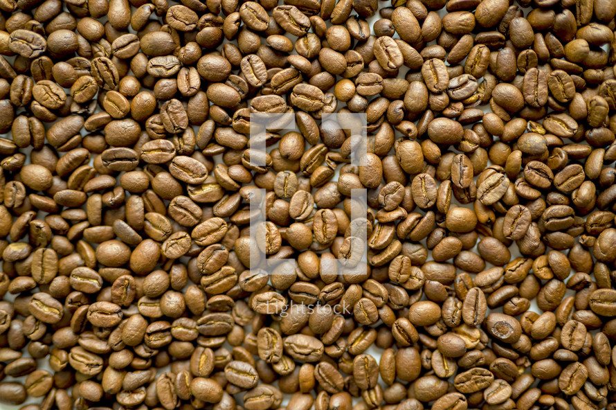 coffee bean background 