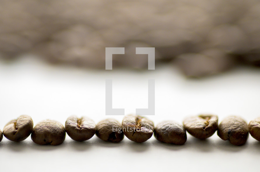 coffee beans in a row 