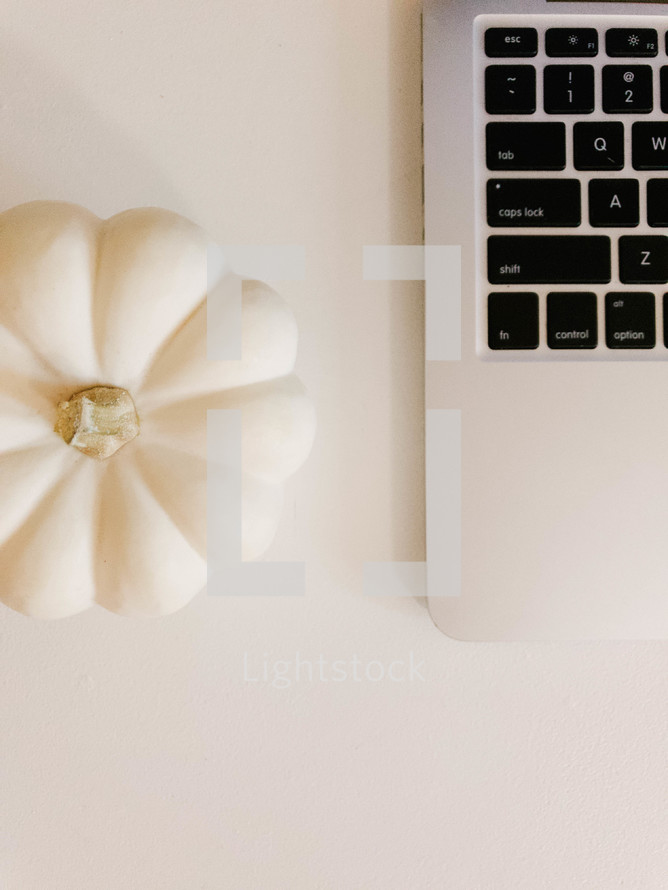 white pumpkin and laptop computer 