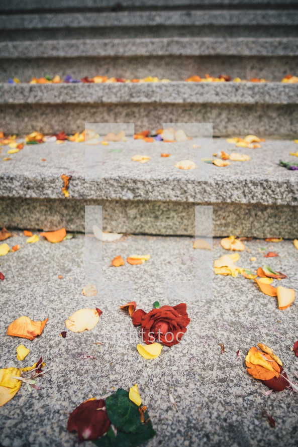 rose petals on steps 