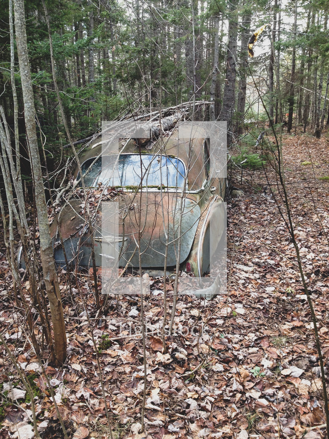 abandoned vehicle in the woods 