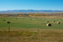 hay bales in a field in front of the Rocky Mountains