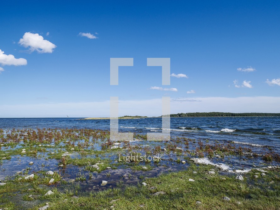 shallow water in marshland in Öland, Sweden