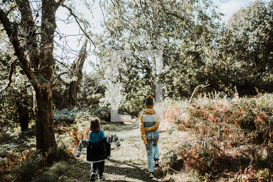 children exploring a forest 