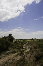 Ethiopian landscape