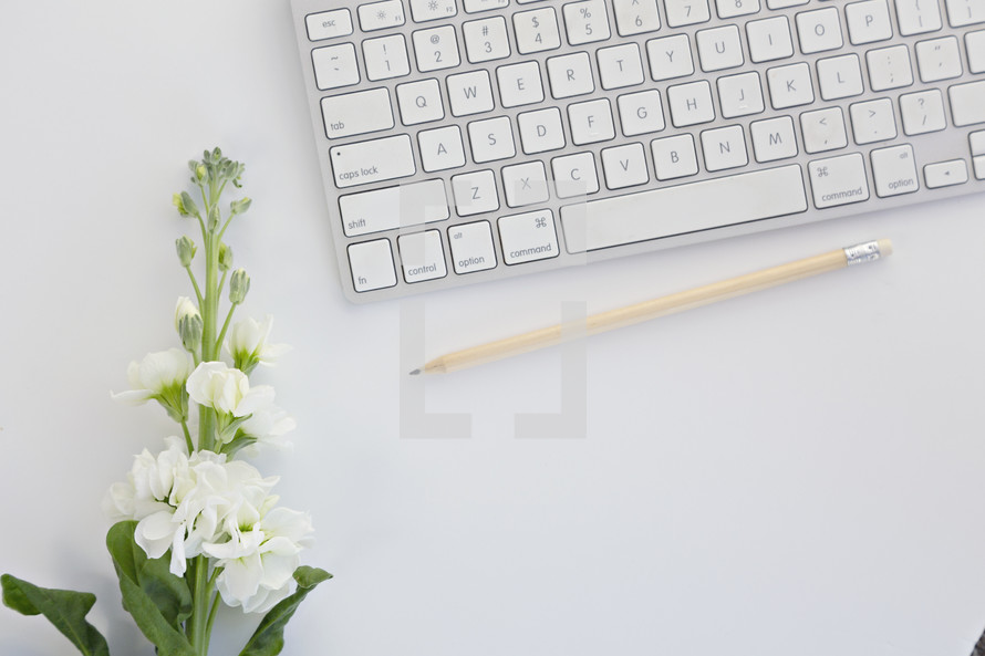 white flowers and computer keyboard 