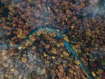 aerial view over fall trees and river 